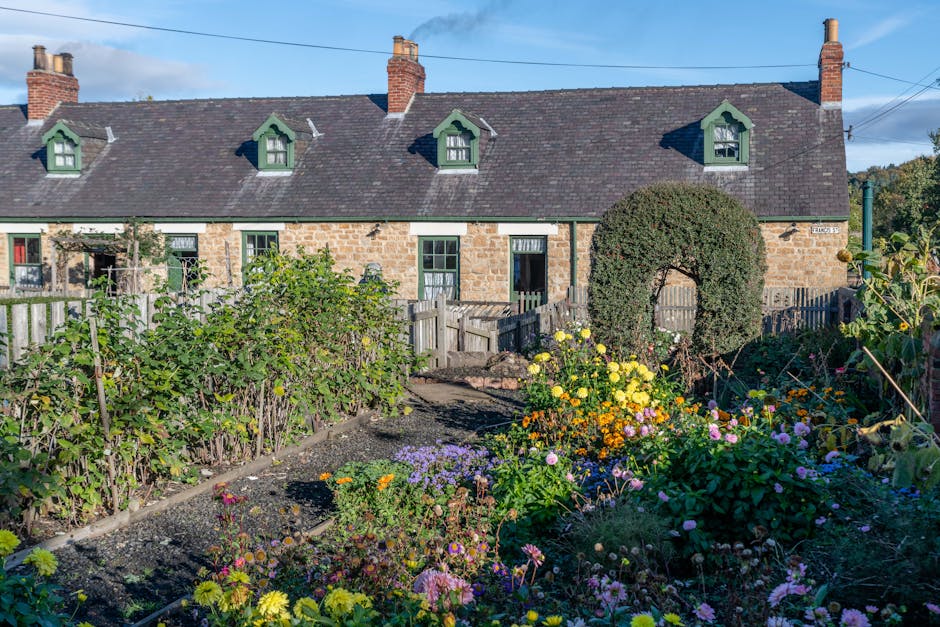 Heritage Burnside home with mature established garden and natural stone retaining wall