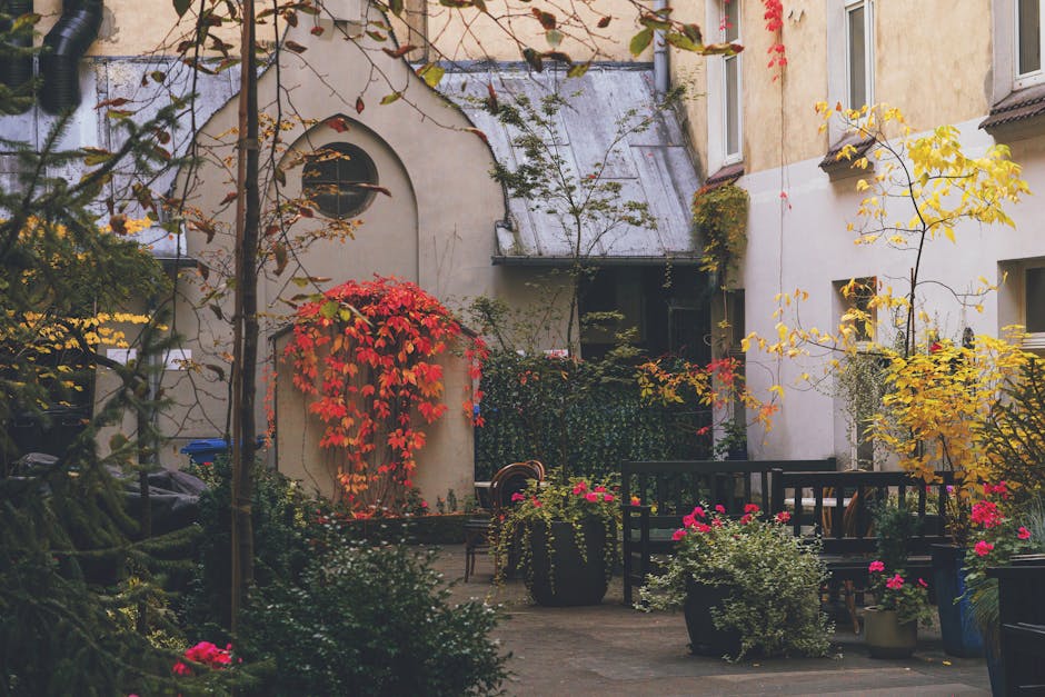 Adelaide inner-city courtyard with vertical garden, paving and Mediterranean plants