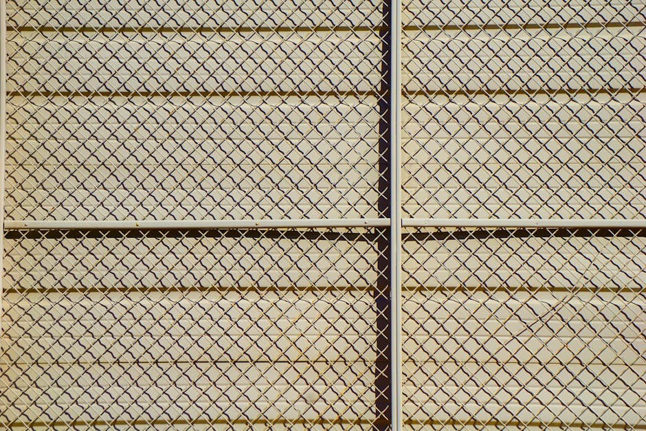 Adelaide property boundary with new colorbond fence and landscaped garden