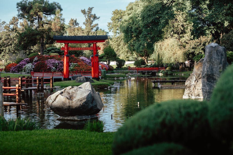 Adelaide Japanese-inspired garden with raked gravel, stone lantern, and Japanese maple