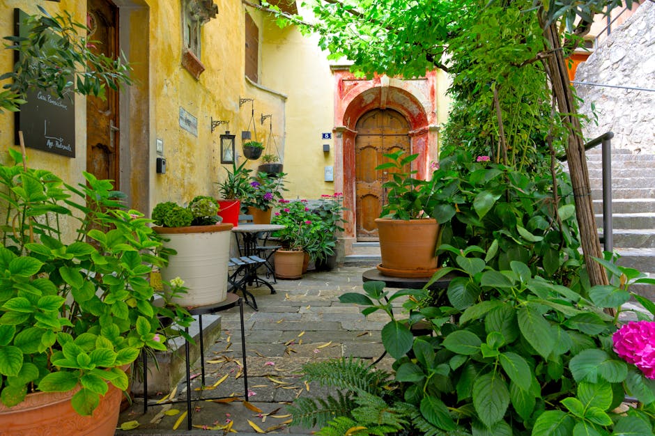 Small Adelaide courtyard with paving, planting, vertical garden and outdoor dining