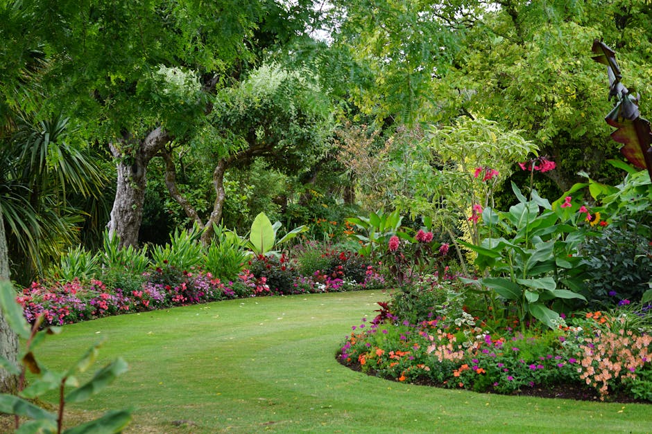 Burnside garden with stone retaining wall, pergola and established trees