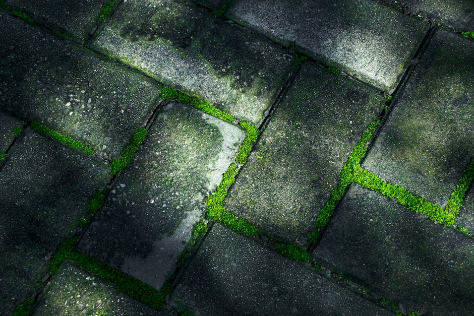Bluestone paving installation in Adelaide backyard with crisp paver lines